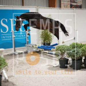 DRS00773