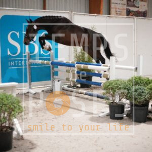 DRS00786