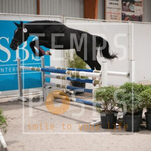 DRS00790