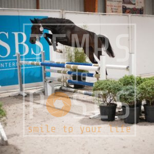 DRS00810
