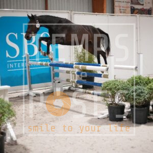 DRS00813