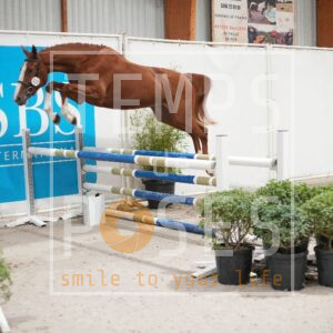 DRS00828