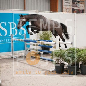 DRS00985