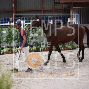 SKYJUMPER DE BORNIVAL