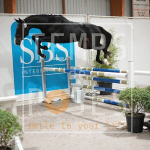 DRS09581