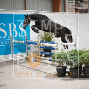 DRS09601