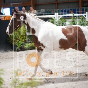 SKY DE RAMEAU BLANC