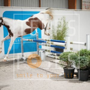 DRS09654