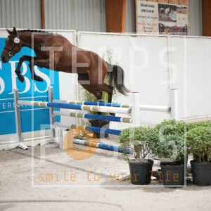 DRS09789