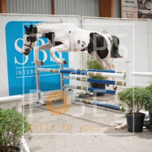 DRS09897