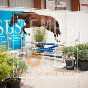 DRS09934
