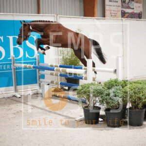 DRS09946