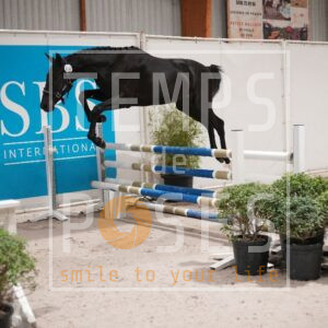 DRS09961