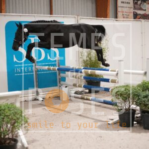 DRS09975
