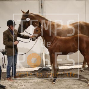 QUIPSY DE ST AUBERT
