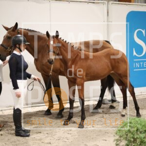 UNISSON DU TIT'HORSE