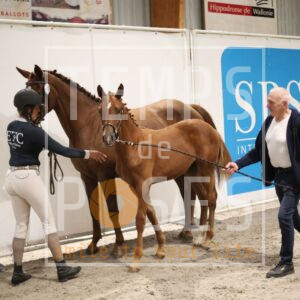 DIDIER DU VIEUX CH╥NE
