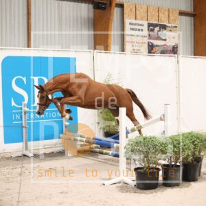 HR2A1741