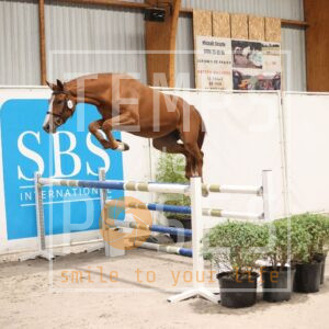 HR2A1748