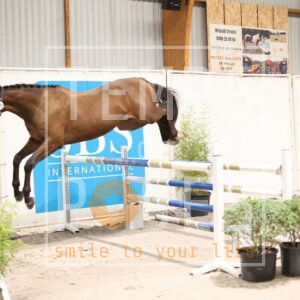 HR2A1883