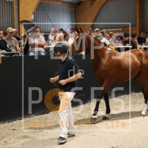 DONALD DU MURY MARAIS Z