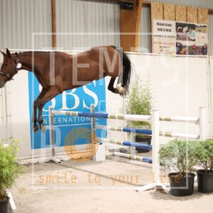 HR2A2202
